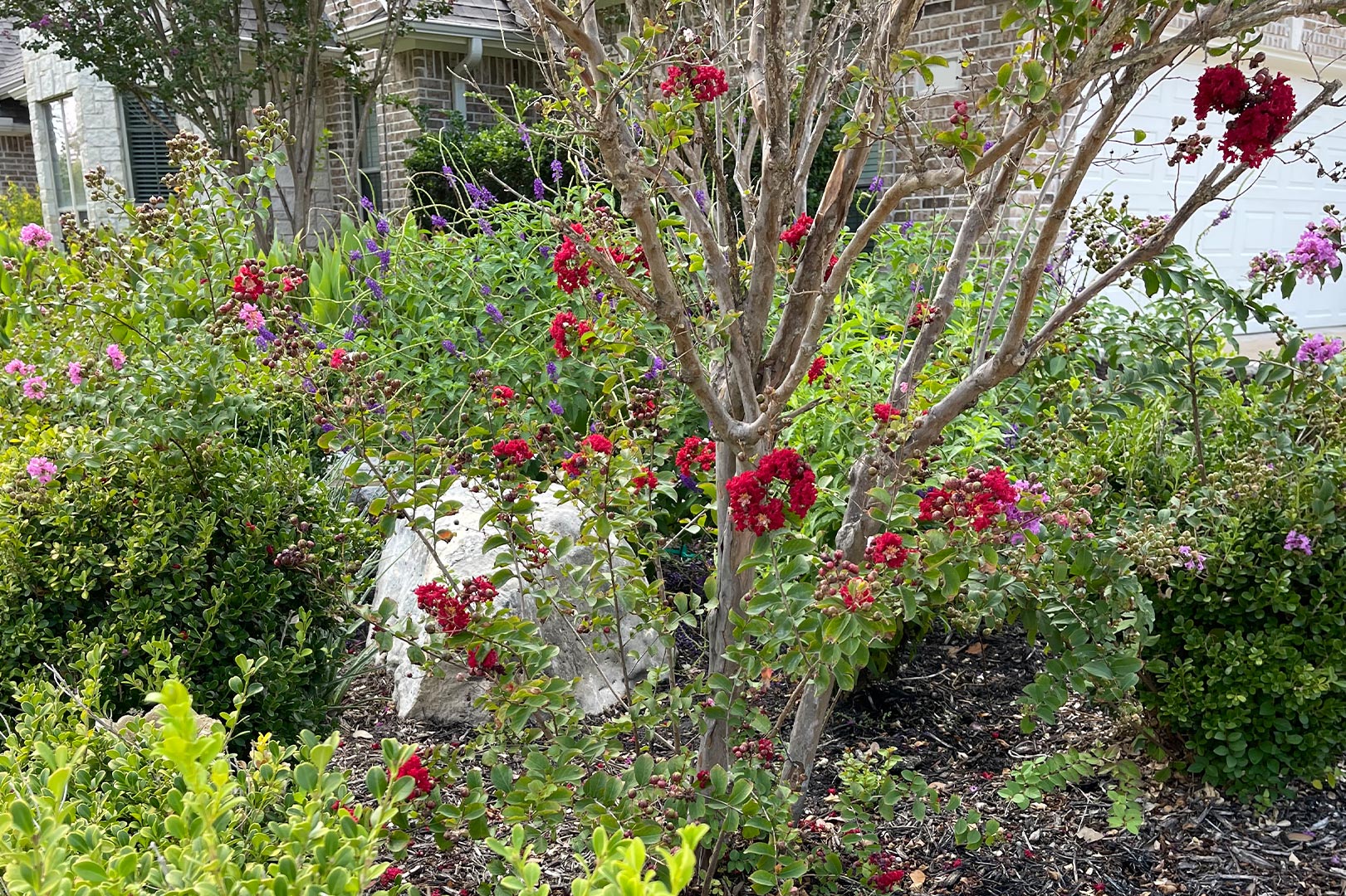 after landscaping in College Station