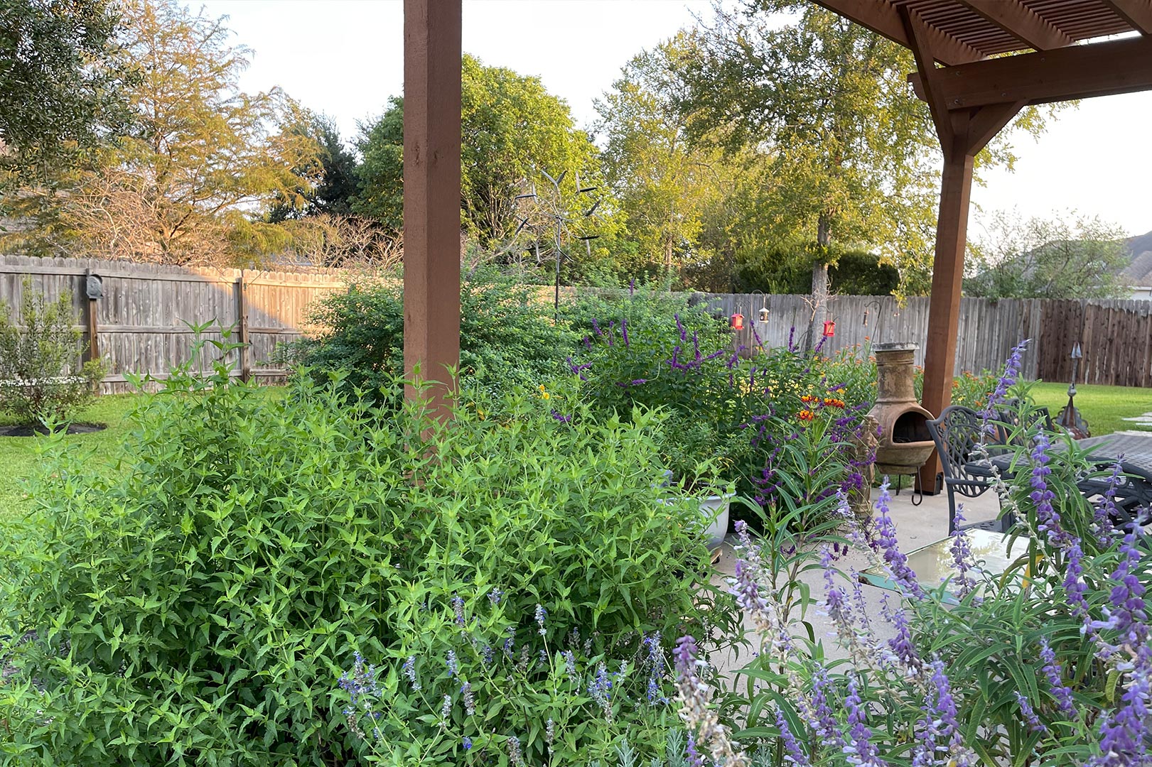 flowers in flowerbed with flowerbed maintenance