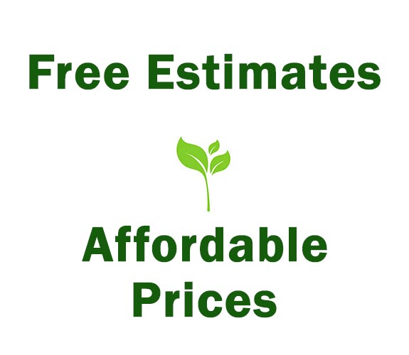 tree leaves and words free estimates