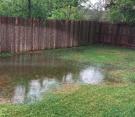 poor drainage because of low spot in lawn