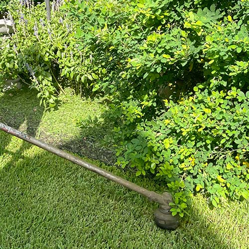 using string edger around large plants